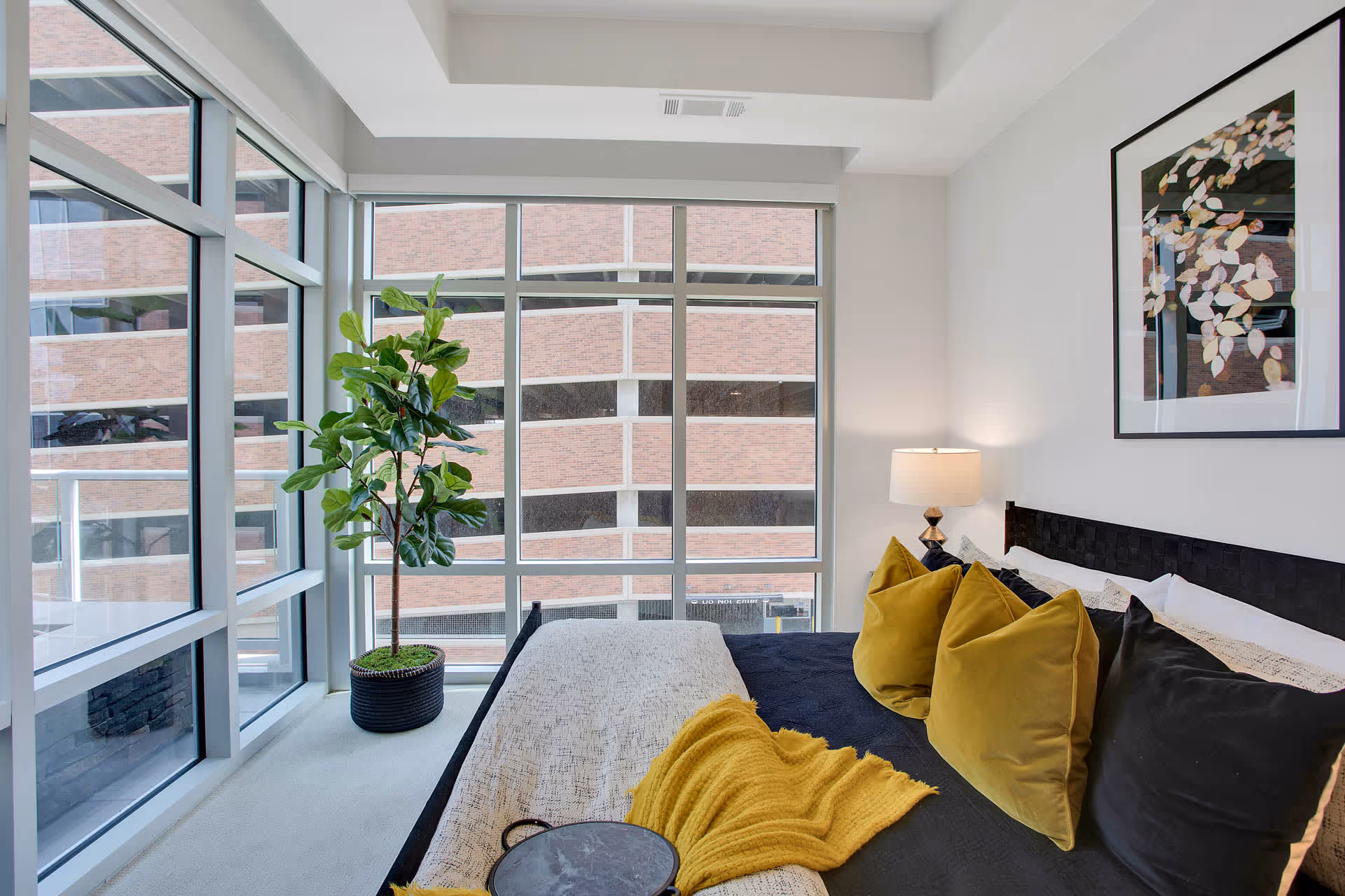Photo 7 of Overture 9th + Co 55+ Apartment Homes
