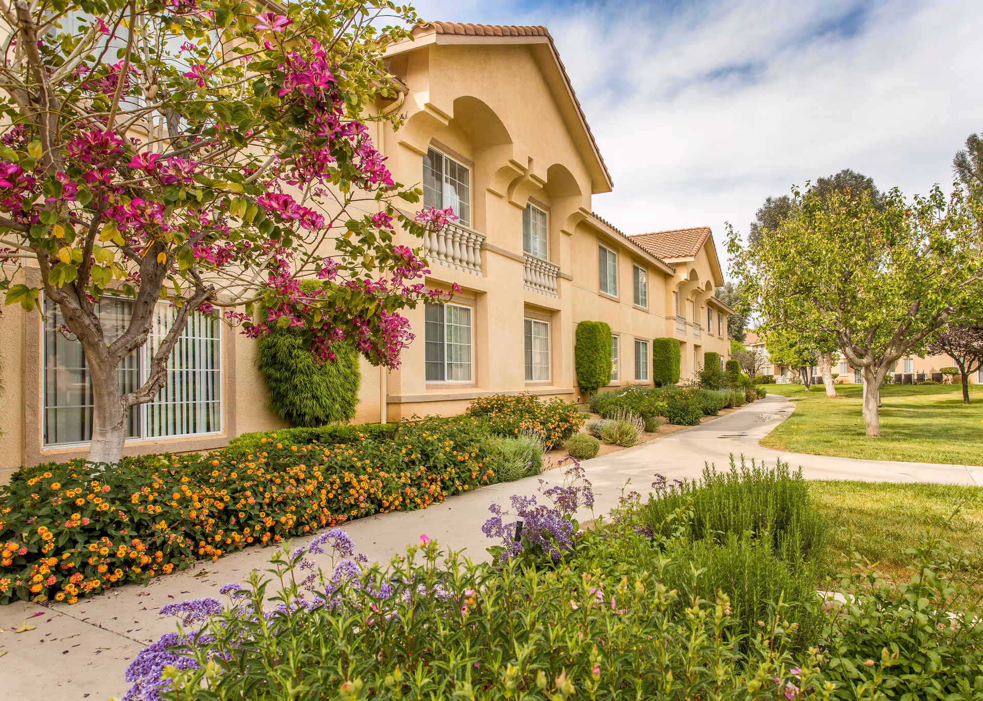 Photo 7 of Wildomar Senior Assisted Living