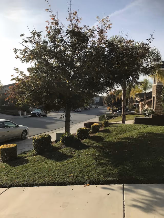 Photo 15 of Sarahs Great Life - Wildomar, California