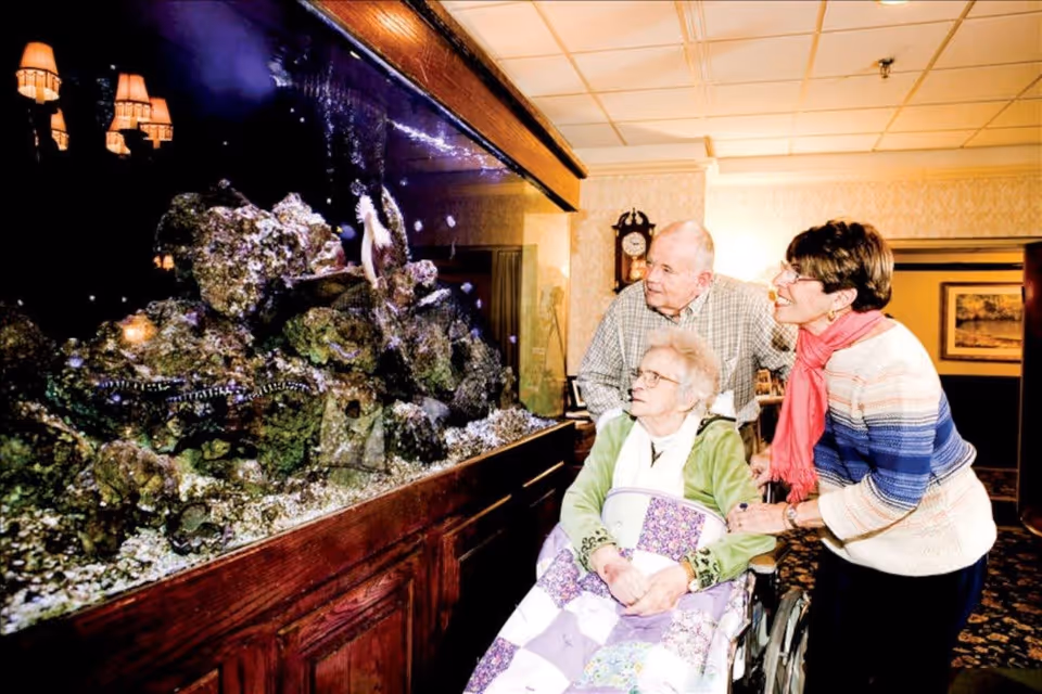 Photo 7 of Anchor Care And Rehabilitation Center