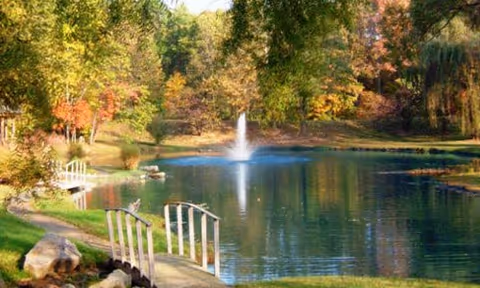 Photo 4 of Meadowood