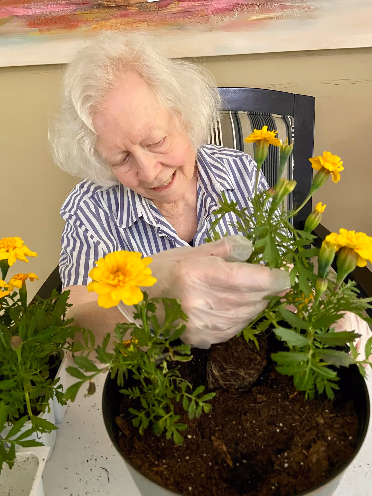 Photo of Care Haven Homes
