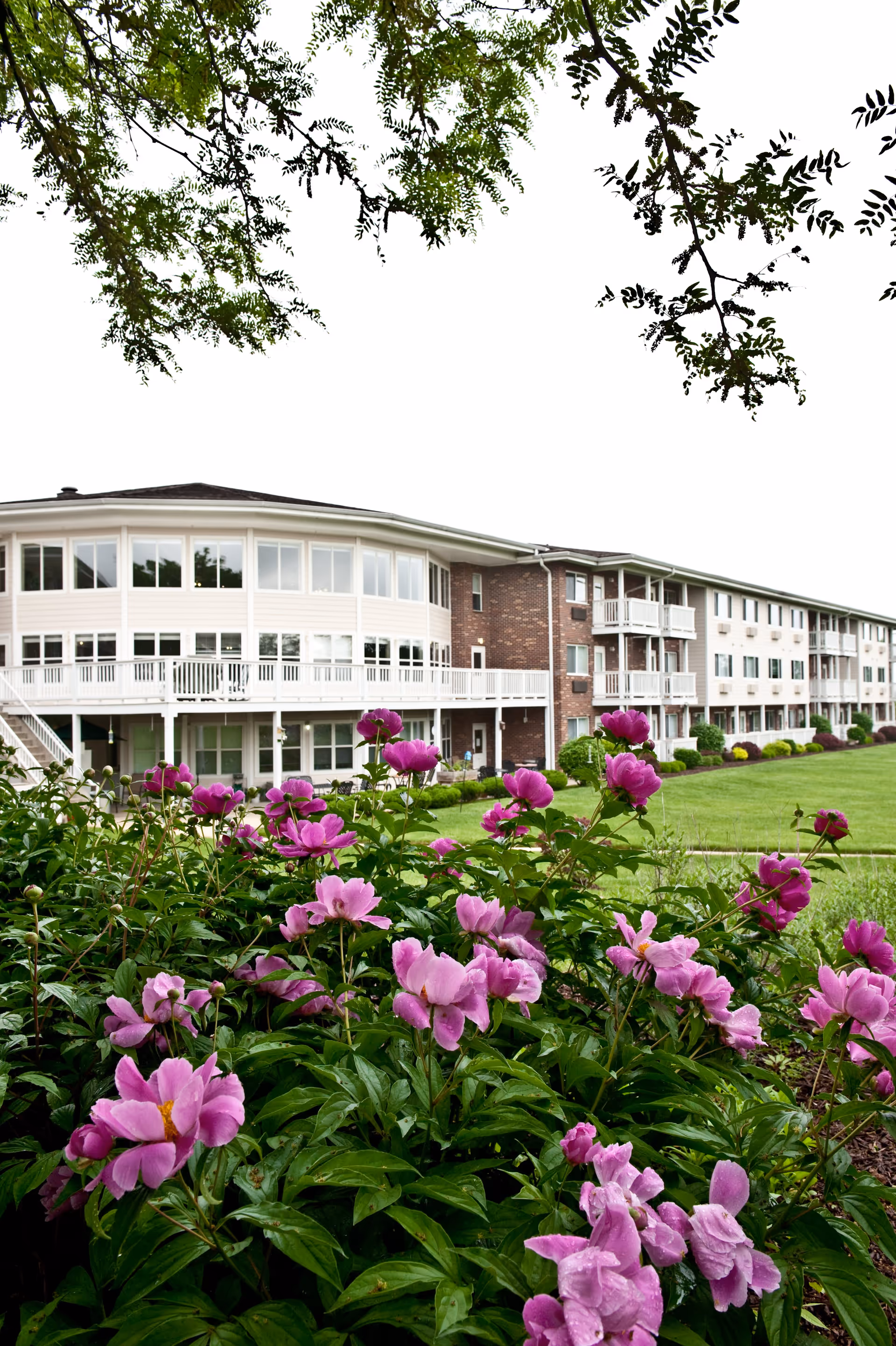 Photo 4 of Autumn View Gardens Assisted Living and Memory Care