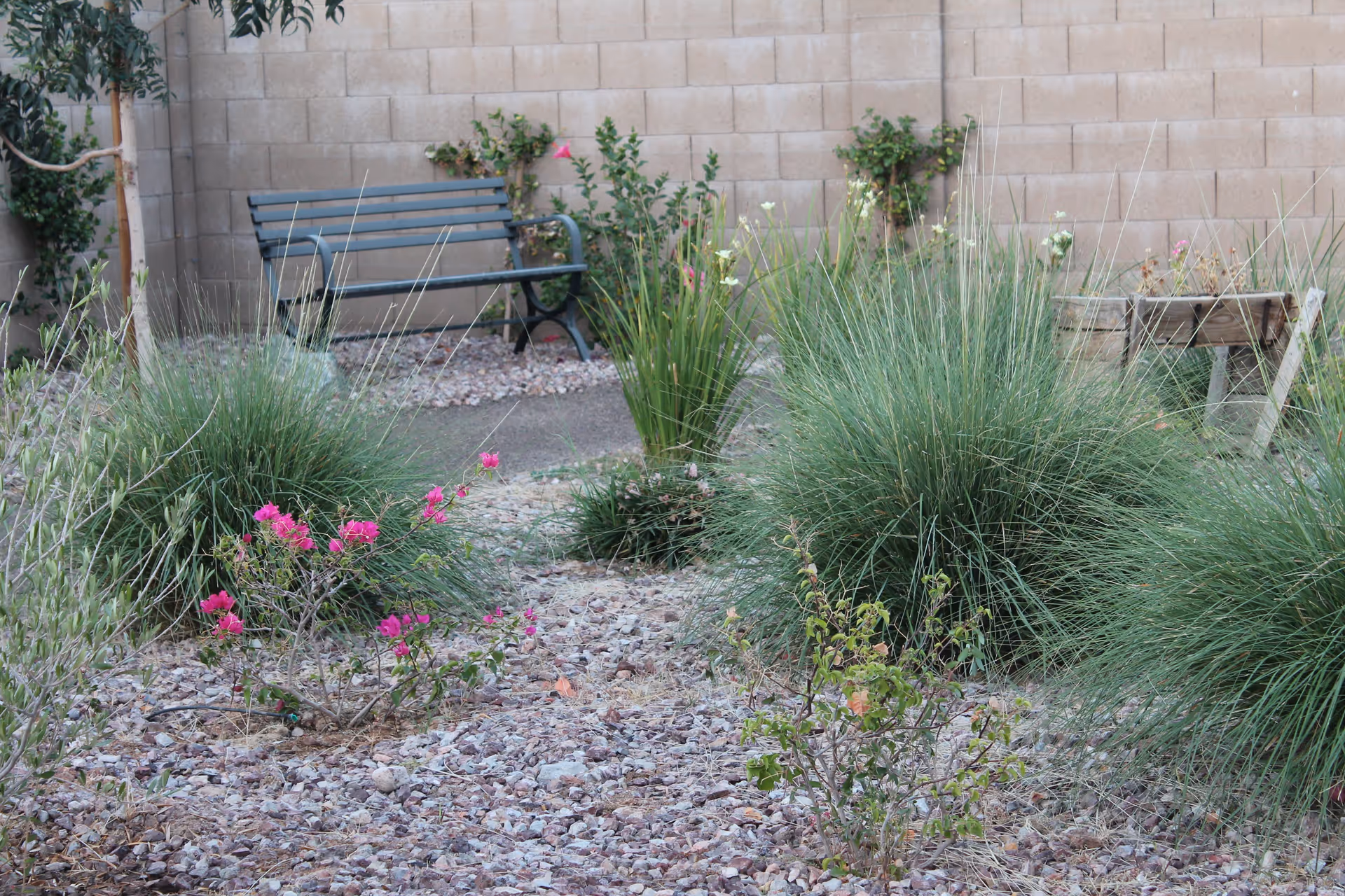 Photo 5 of Estancia Assisted Living
