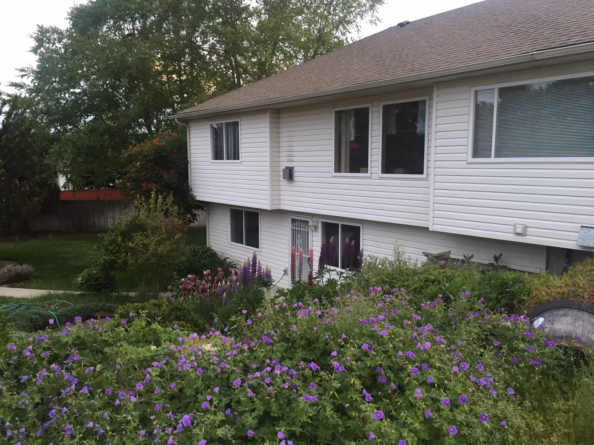 Photo of At Home (Adult Family Homes) 3 Homes