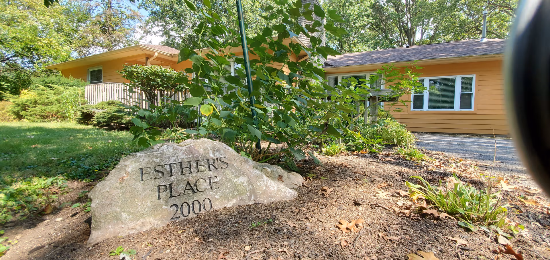 Photo of Esther's Place