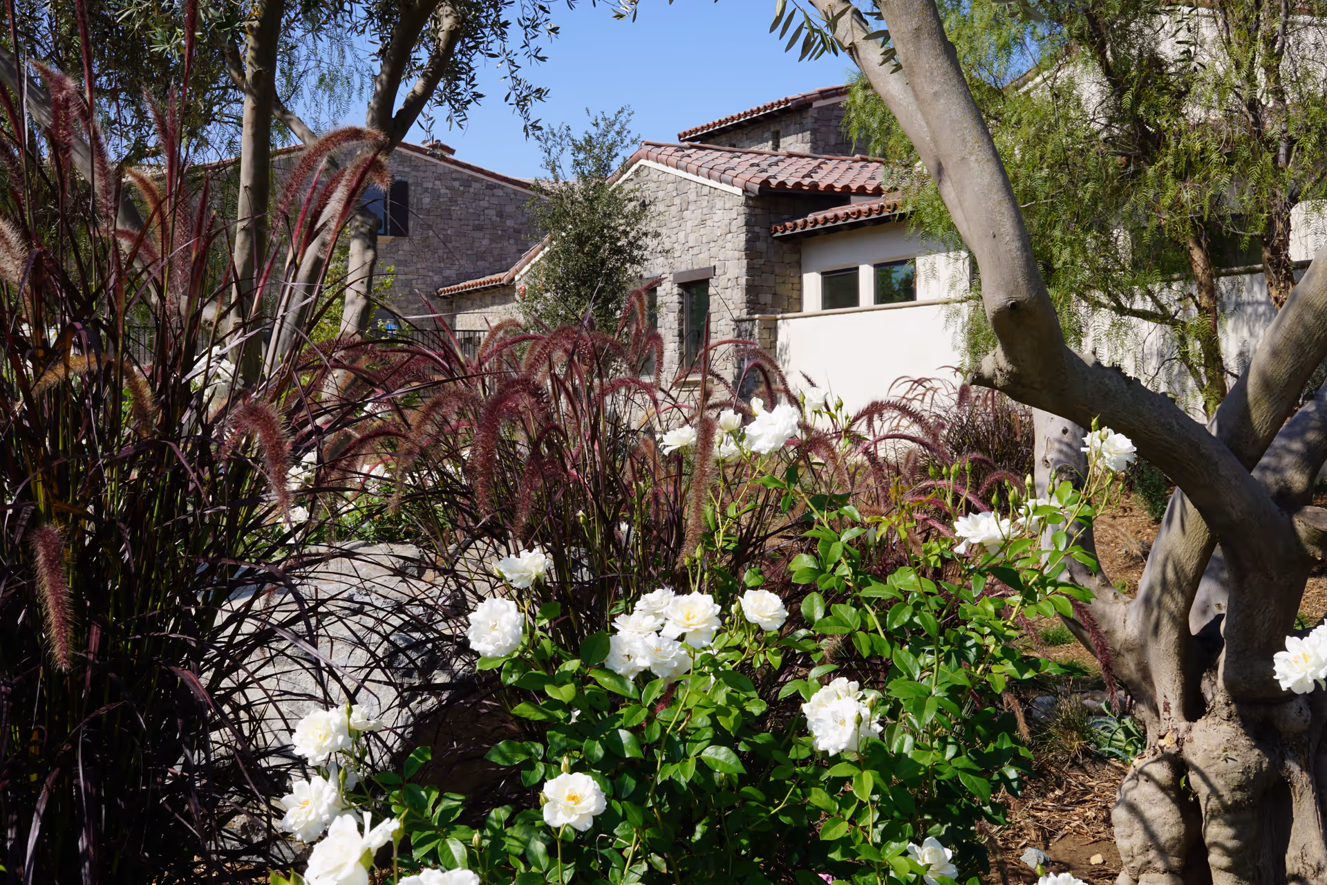 Photo 12 of Villa Lorena Senior Living