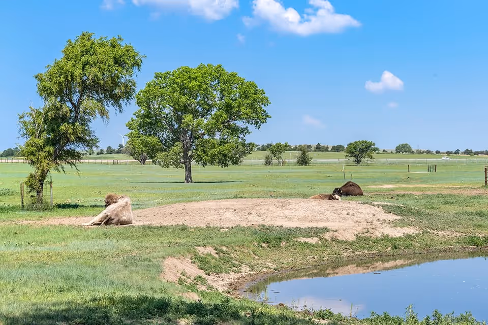 Photo 7 of Brookdale Hays