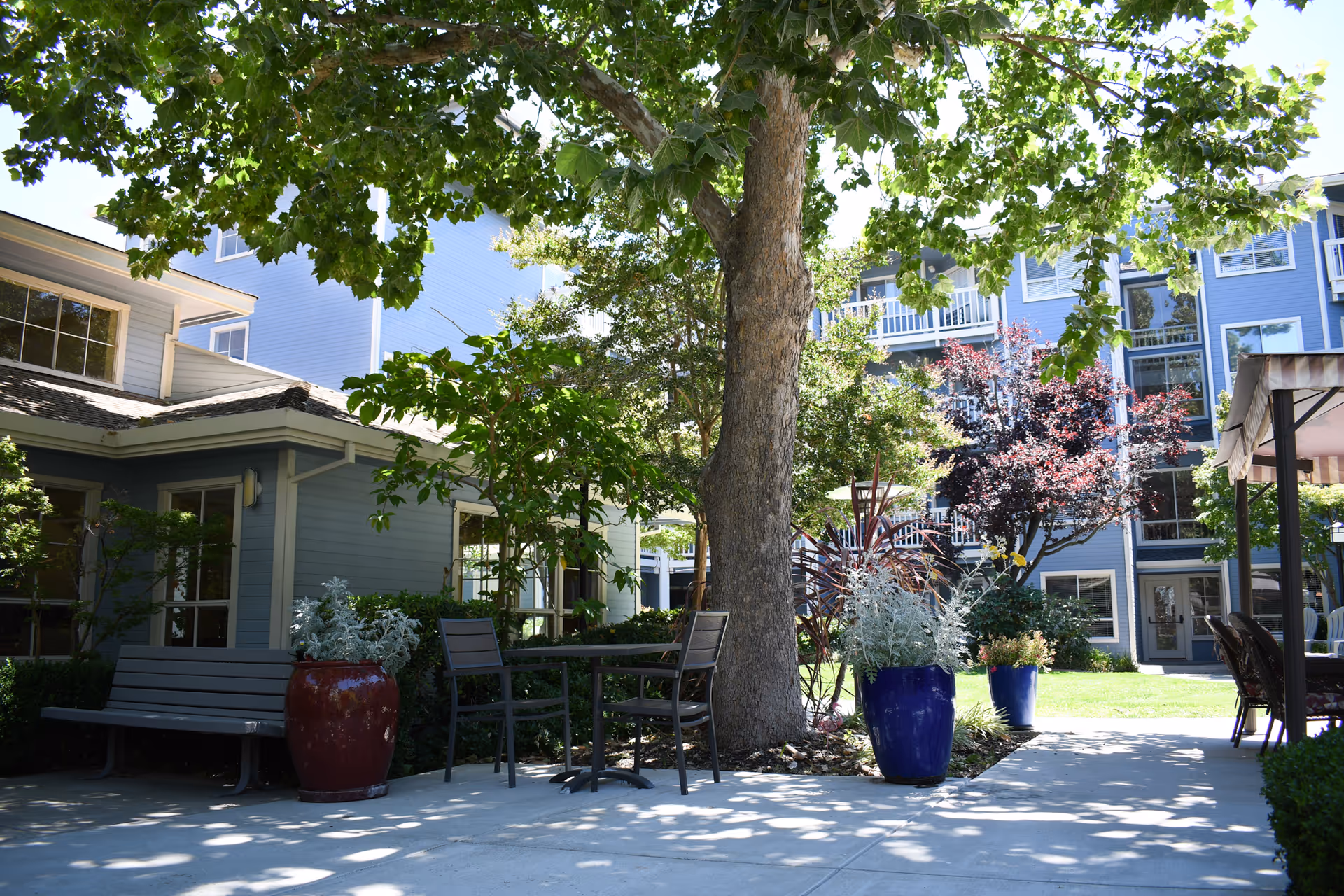 Photo 6 of Carlton Concord