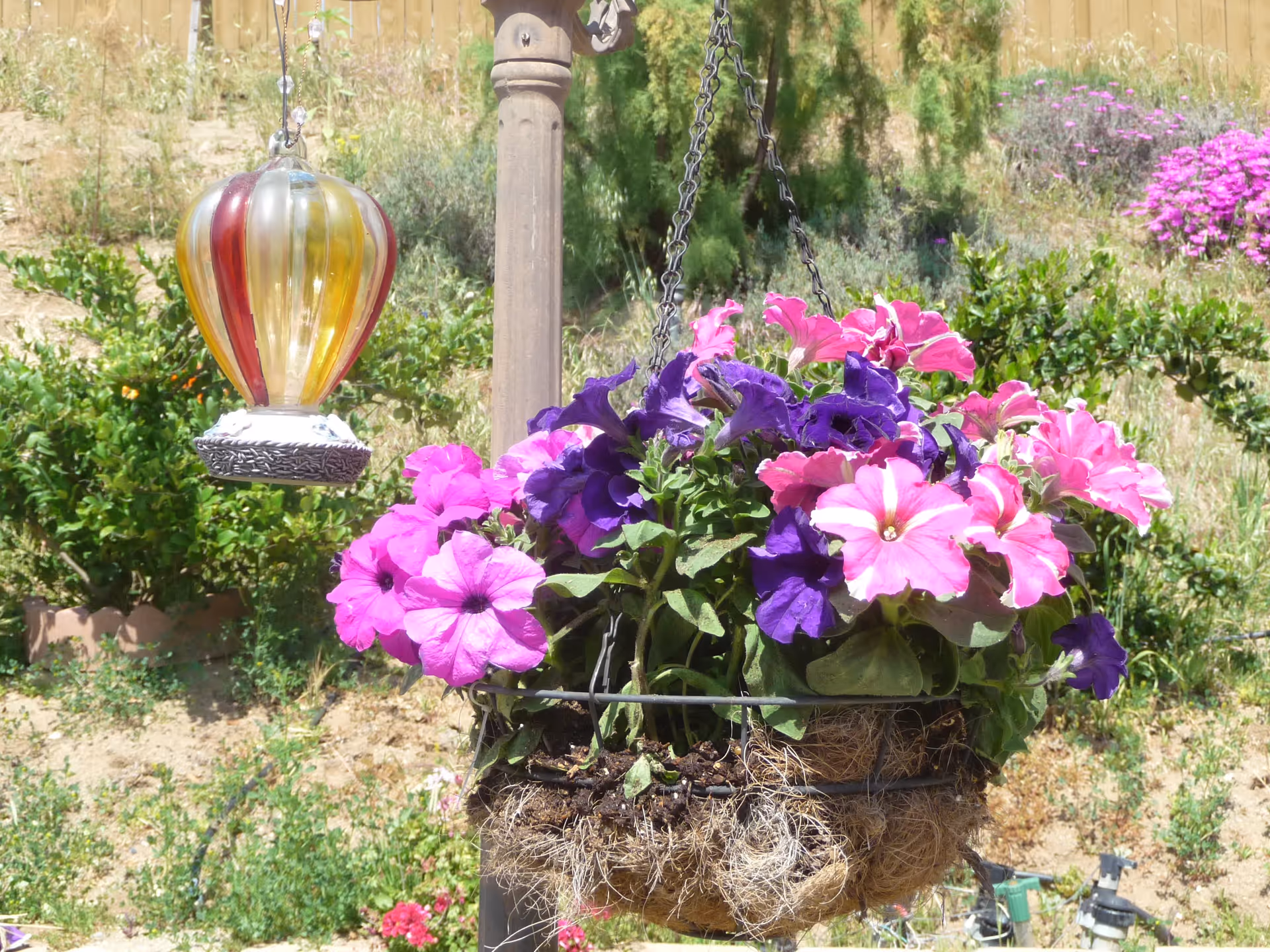 Photo 6 of Grand Villa Escondido Senior Care