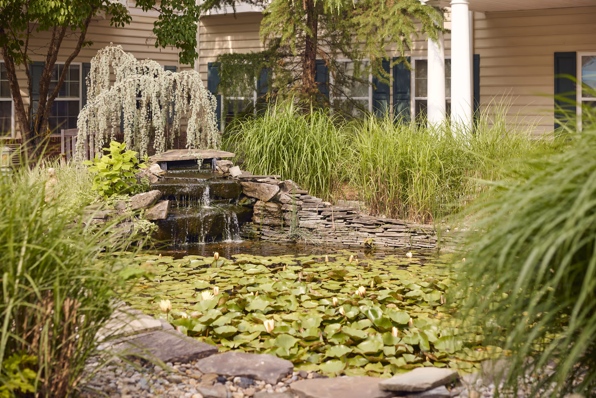 Photo 9 of Brandywine Middlebrook Crossing by Monarch
