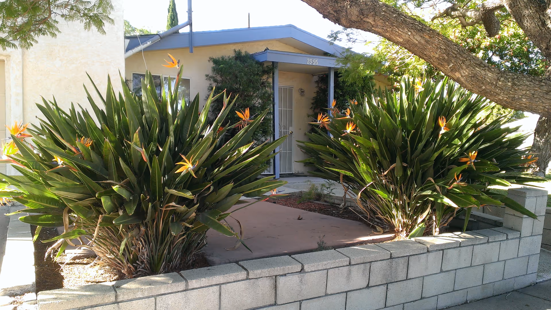 Photo 2 of Mission Home