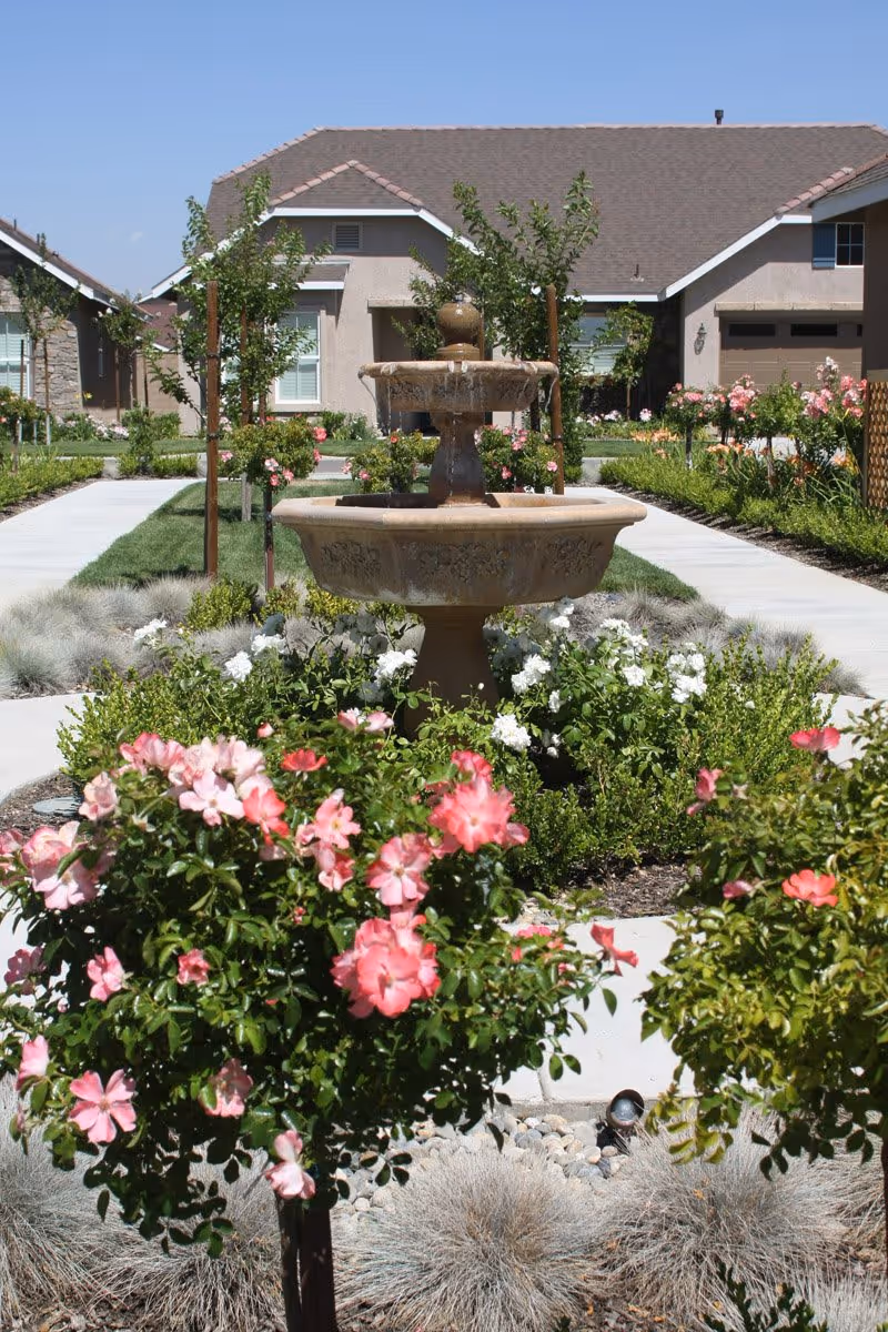 Photo 14 of Palm Village Retirement Community