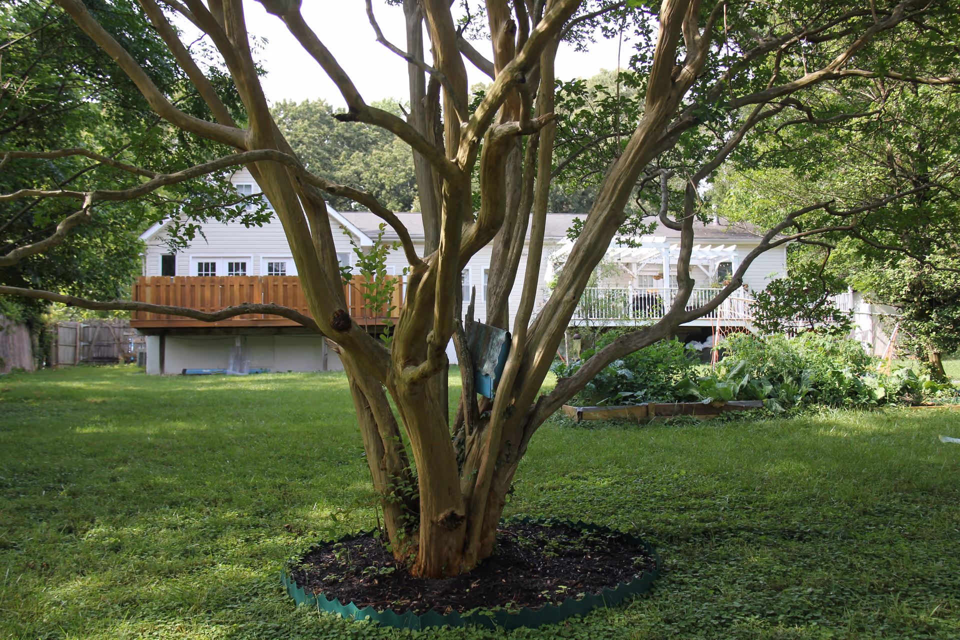Photo 14 of Rose garden residence