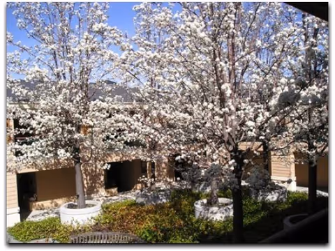 Photo 8 of The Terraces of Los Gatos