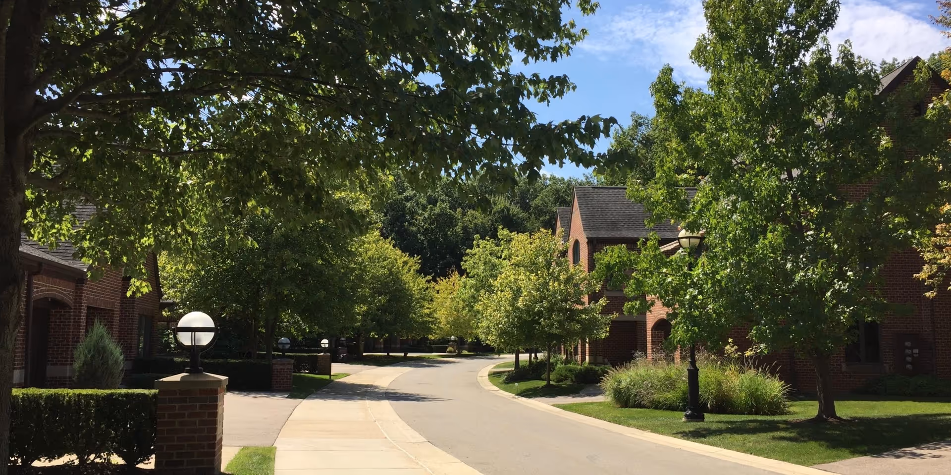 Photo 8 of University Commons