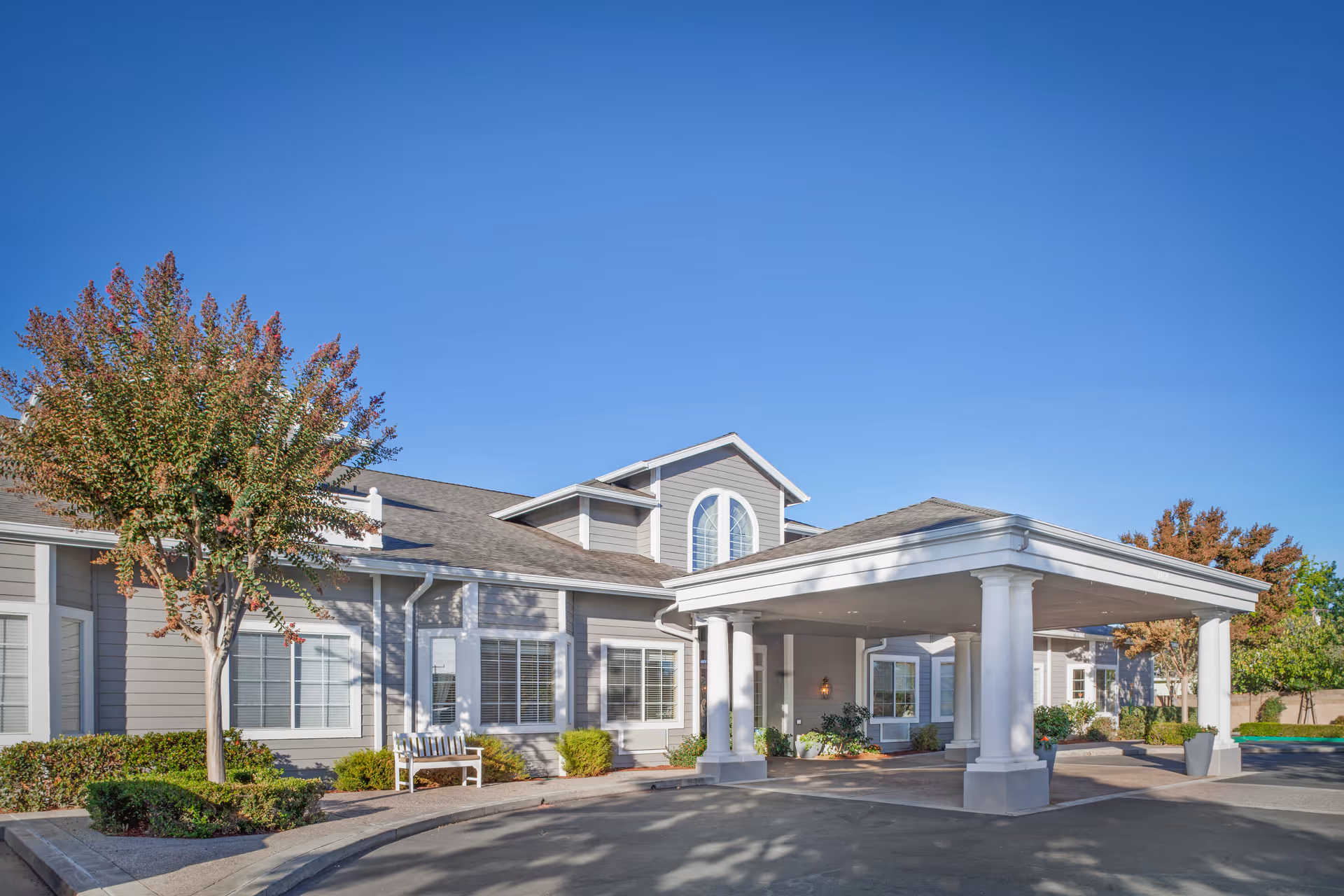 Photo of Ivy Park at San Ramon