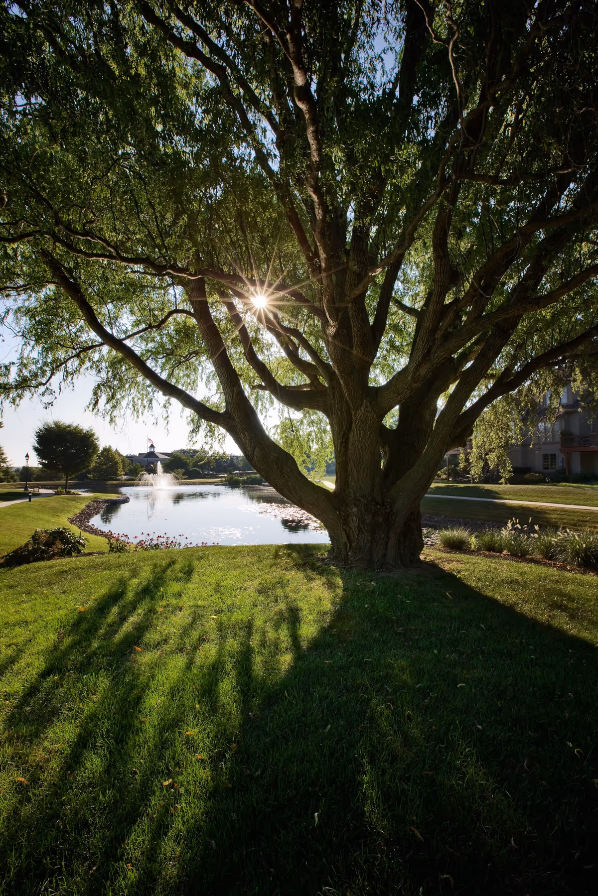 Photo 4 of Manor at Willow Valley Communities