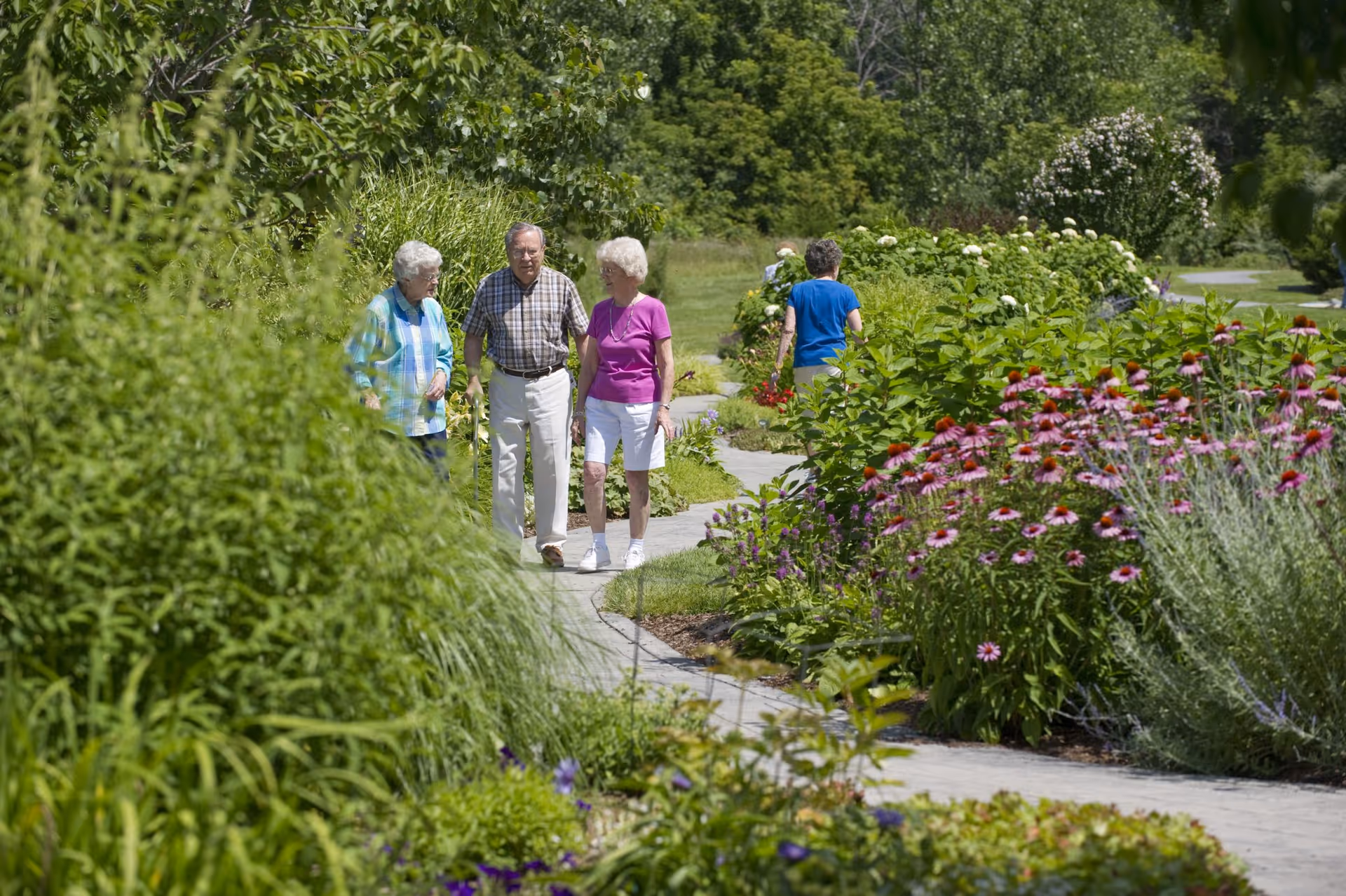 Photo 2 of The Orchards at Canterbury-on-the-Lake