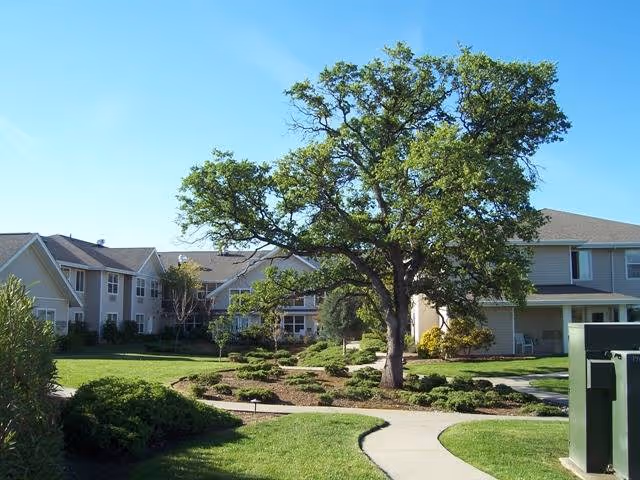 Photo 5 of Marbella Oroville