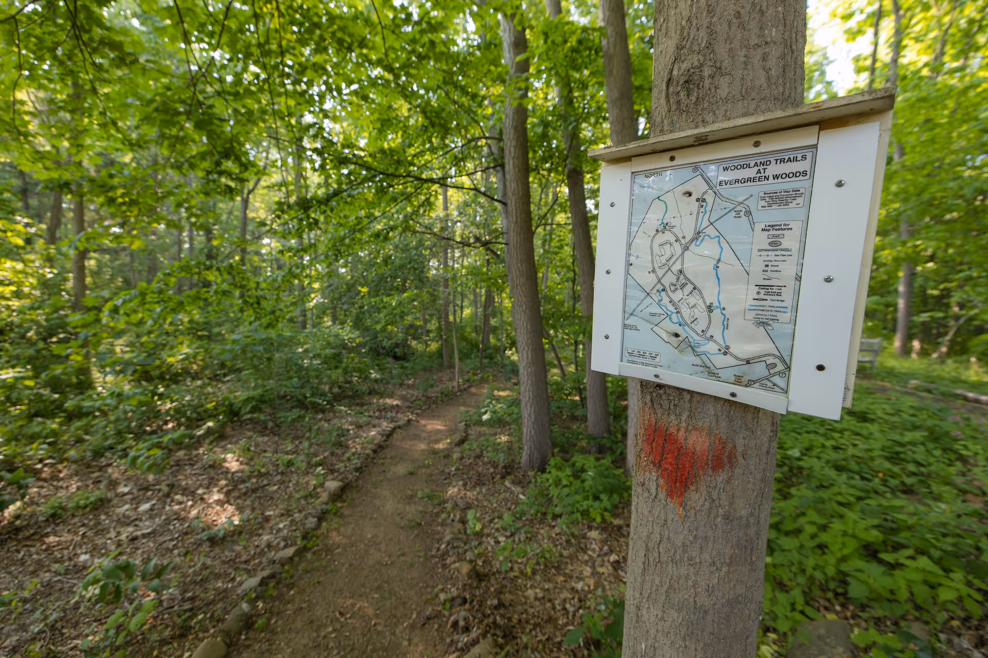 Photo 9 of Evergreen Woods