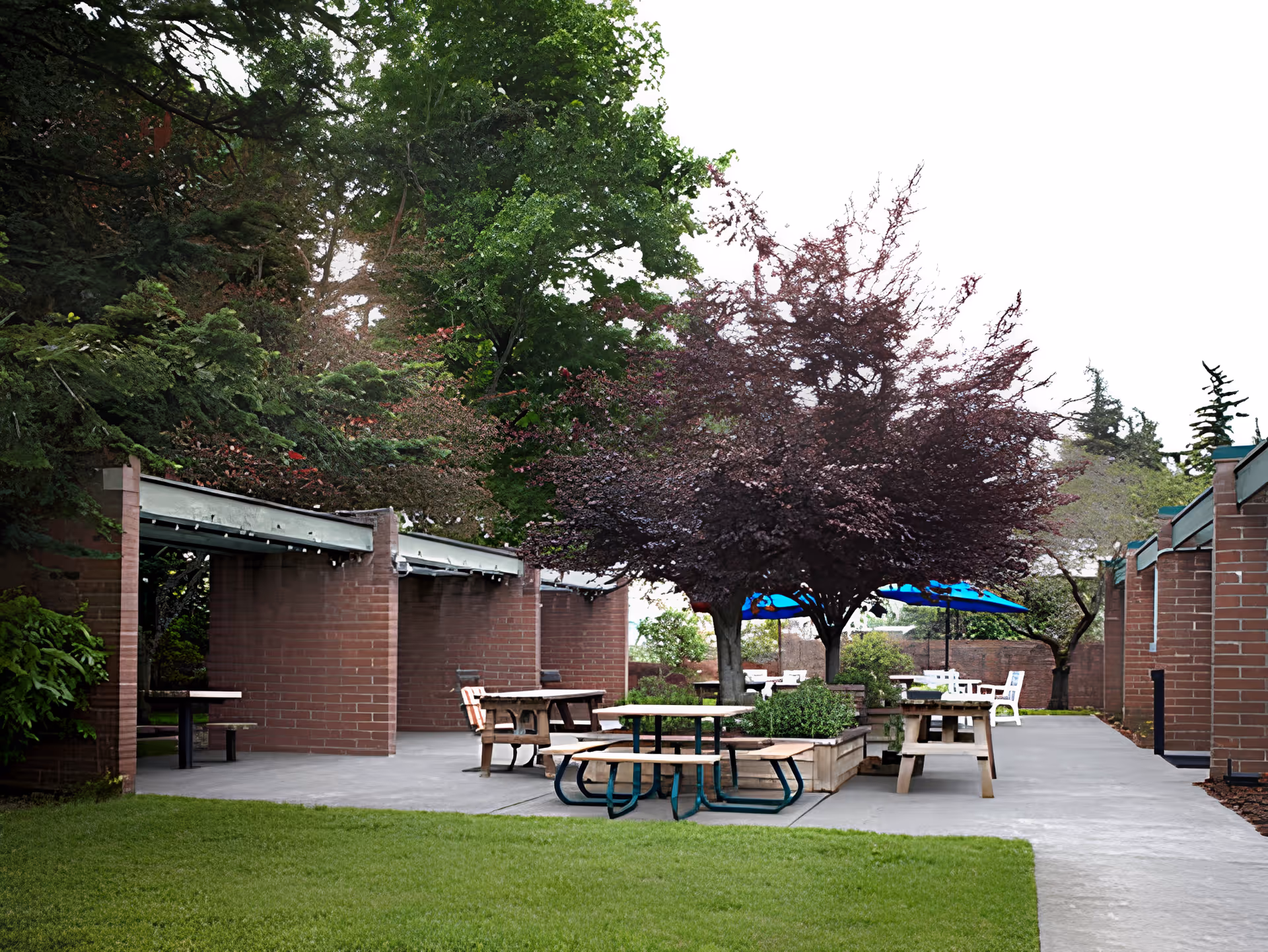 Photo 3 of Avamere Bellingham Healthcare and Rehabilitation Services