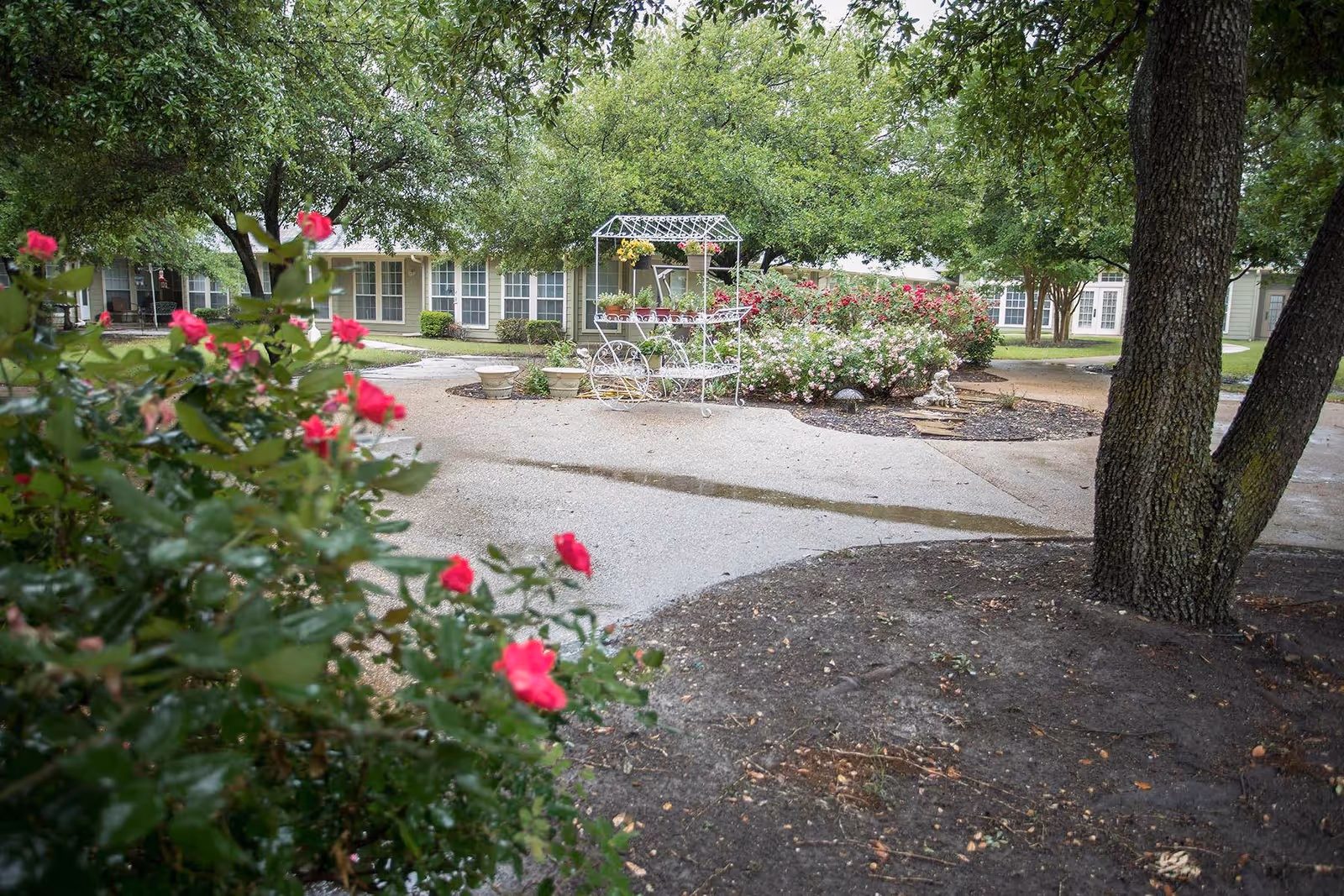 Photo 5 of AVIVA Granbury Senior Living