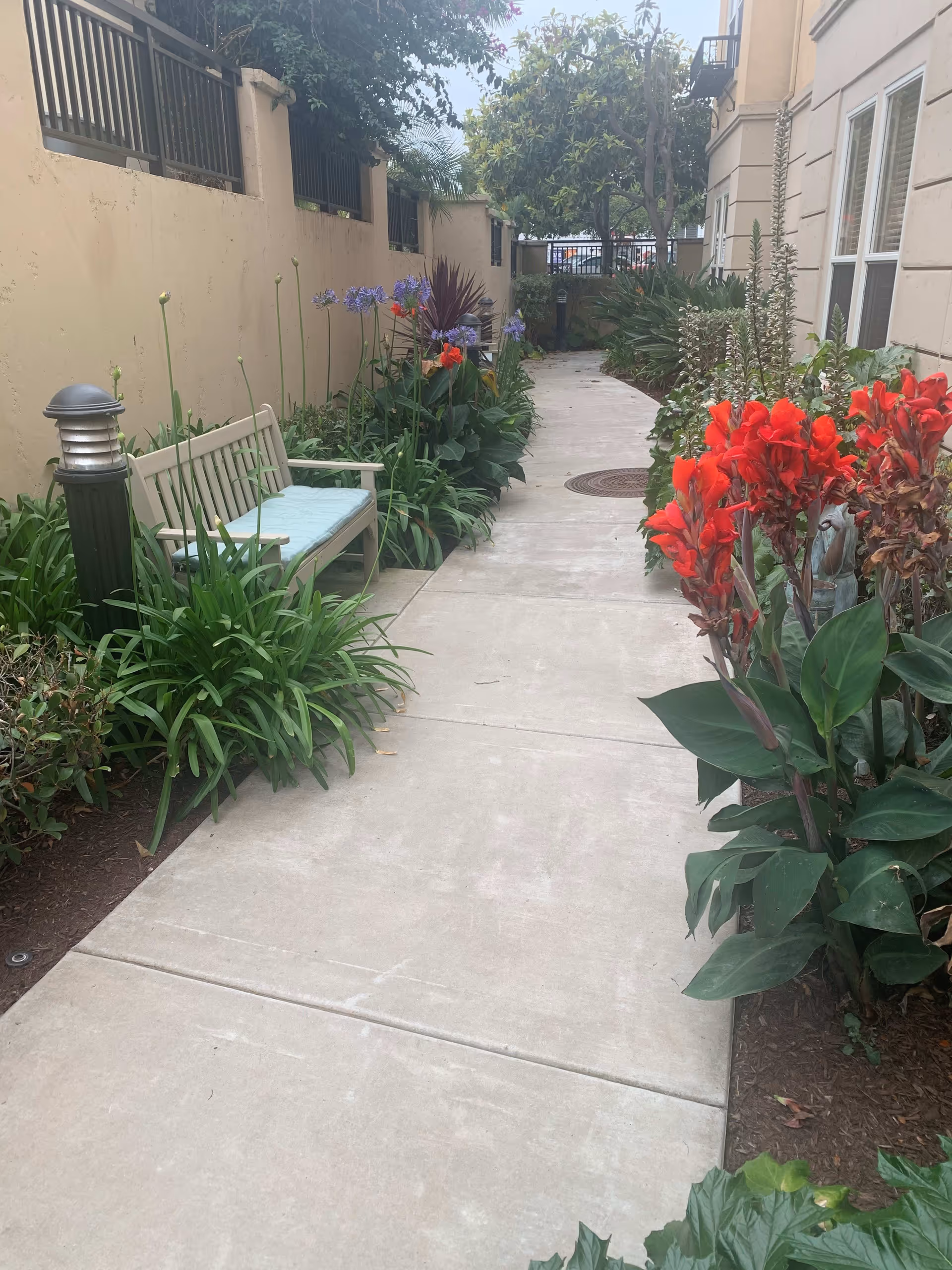 Photo 20 of Ivy Park at La Jolla