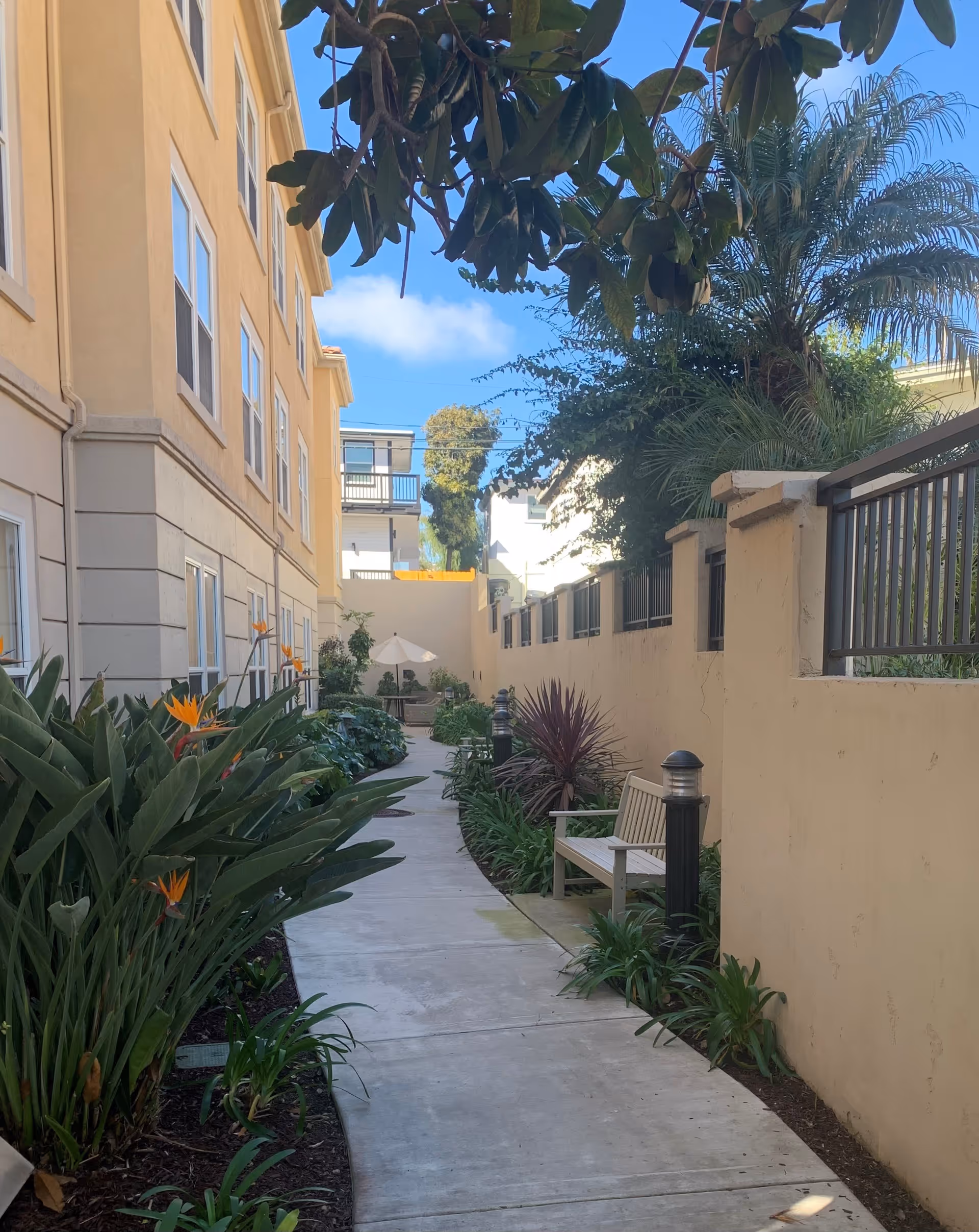 Photo 19 of Ivy Park at La Jolla