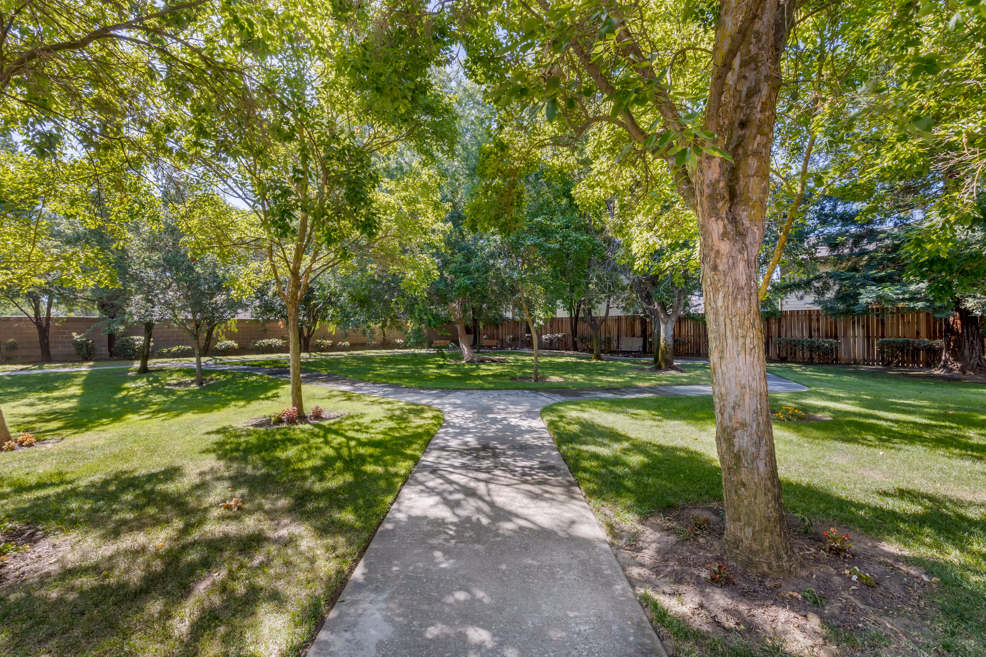 Photo 6 of Brookdale Lodi