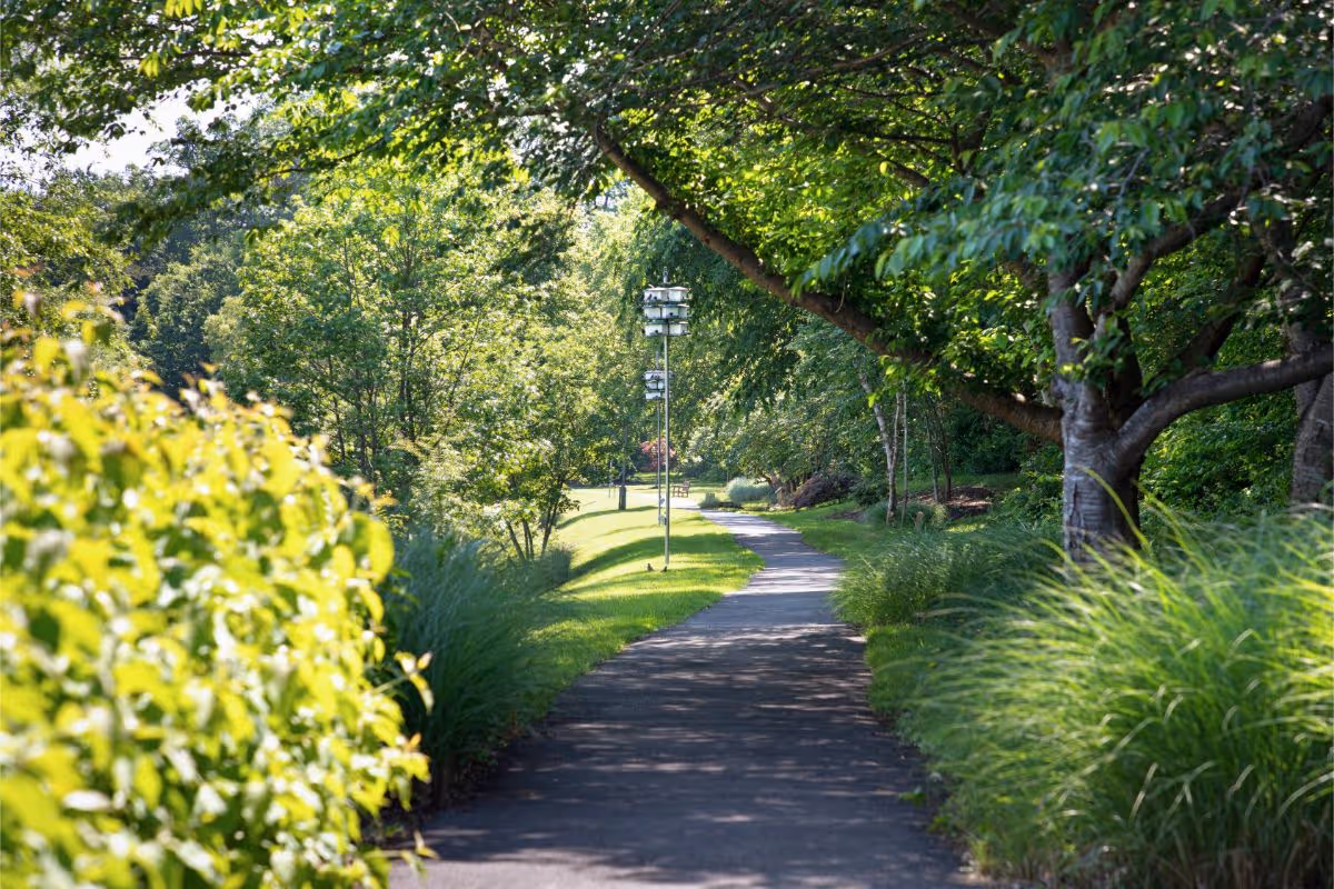 Photo 4 of The Fairfax at Belvoir Woods