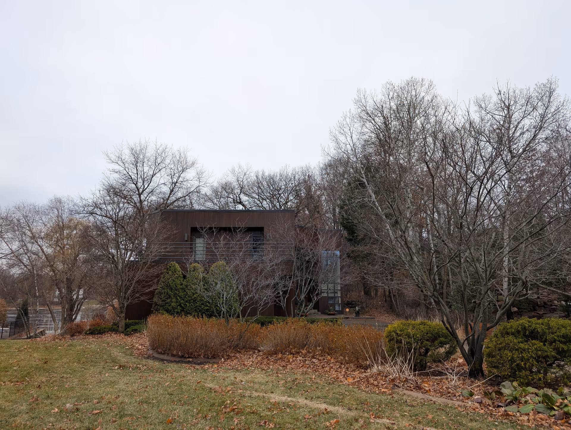 Photo of Cassia