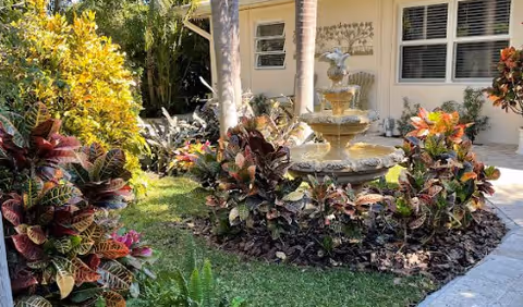 Photo 5 of Royal Palm Senior Residence