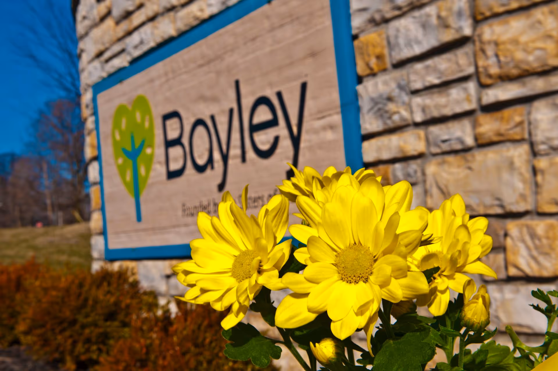 Photo 5 of Bayley Senior Care