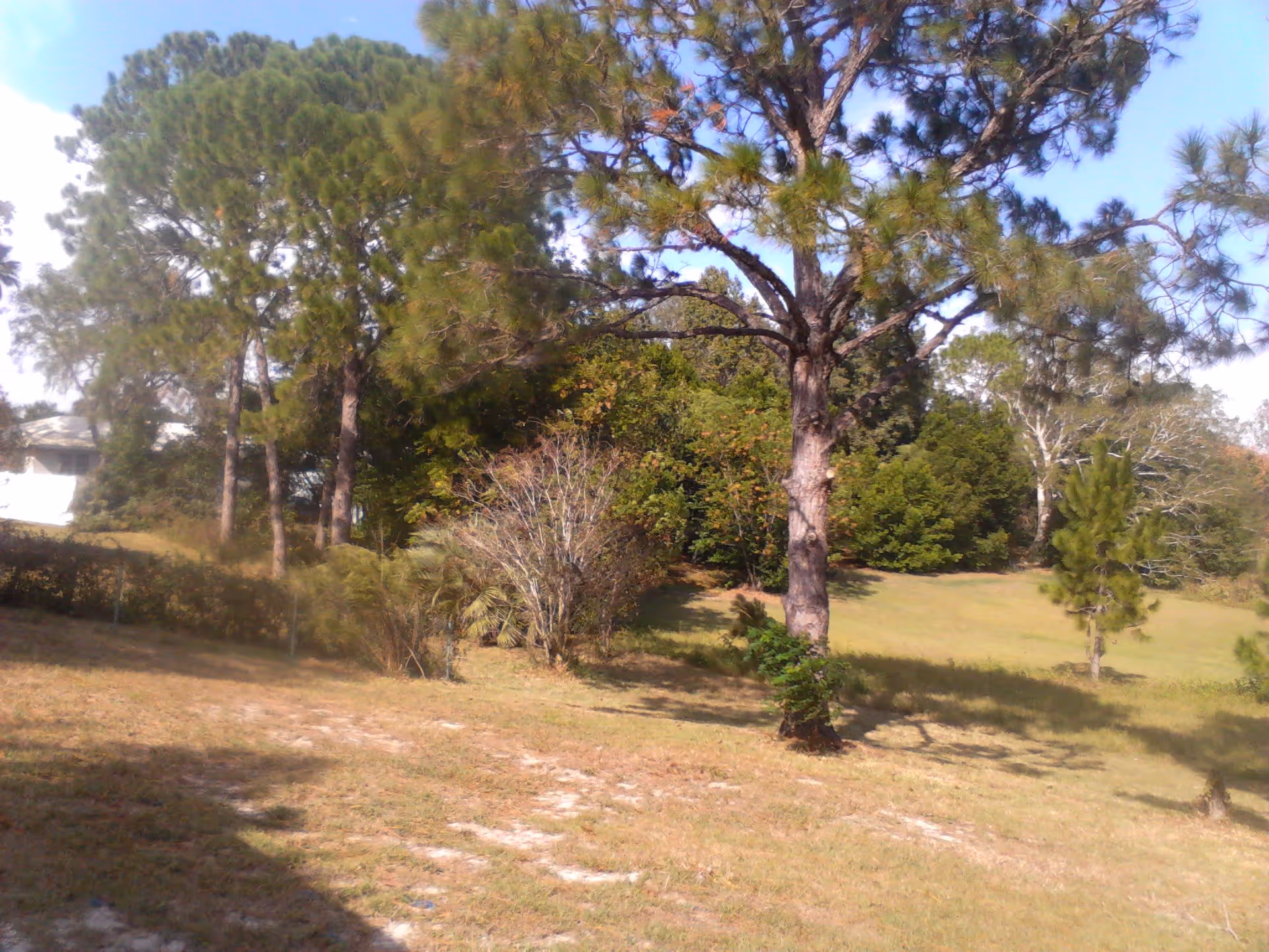 Photo of A Great Place to Stay AFCH