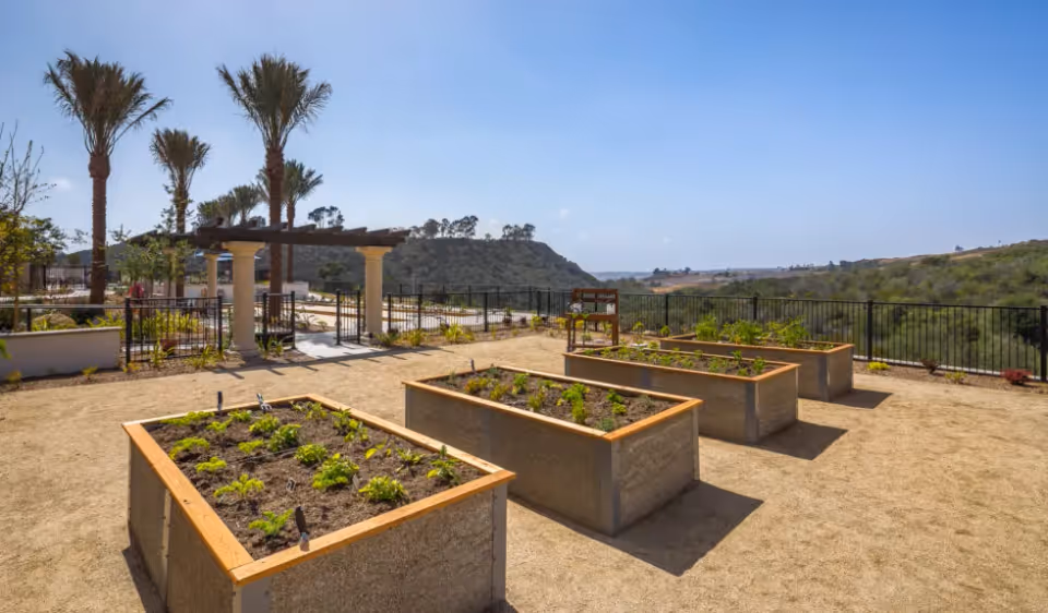 Photo 7 of Santianna Oakmont Signature Senior Living