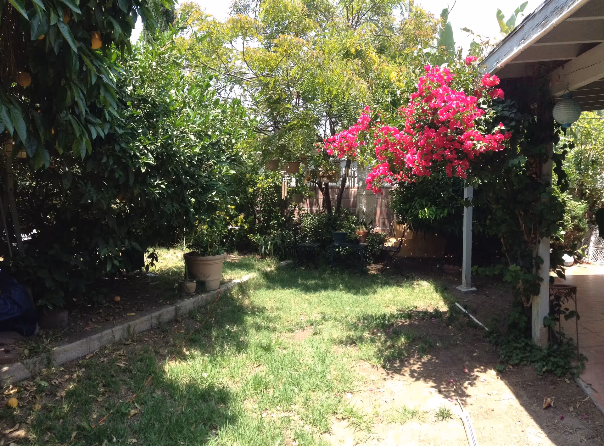 Photo 7 of Seniors' Haven