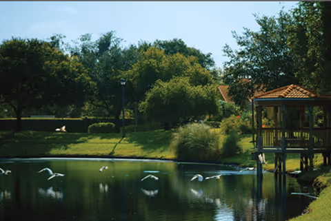 Photo 10 of Mayflower Assisted Living
