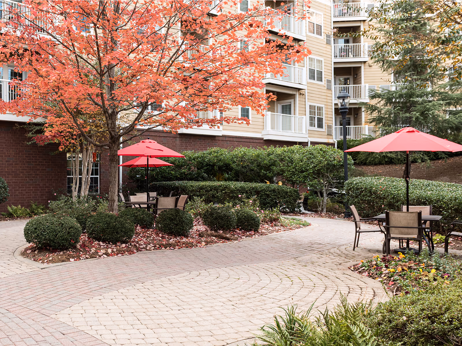 Photo 3 of Atria North Point