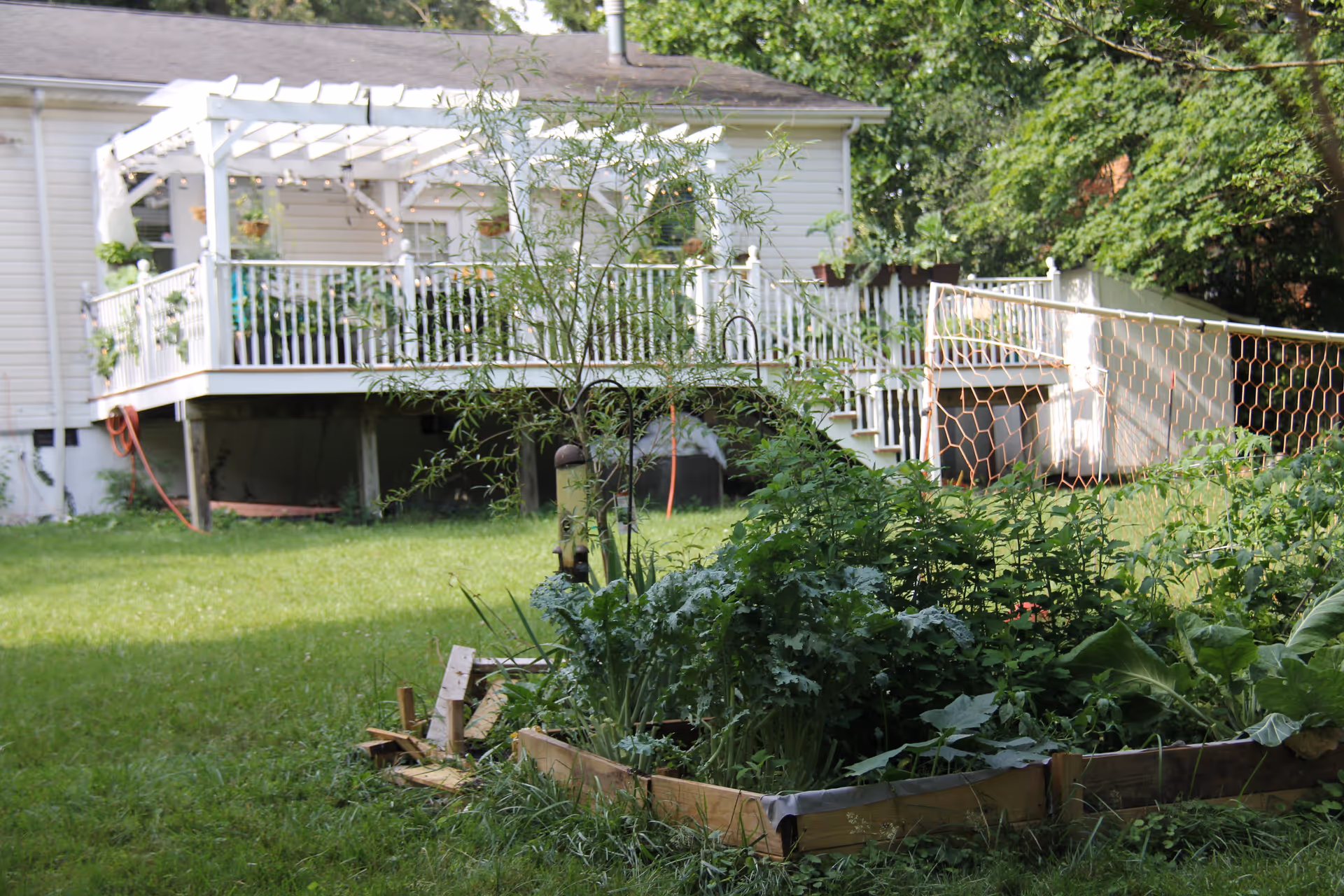Photo 29 of Rose garden residence