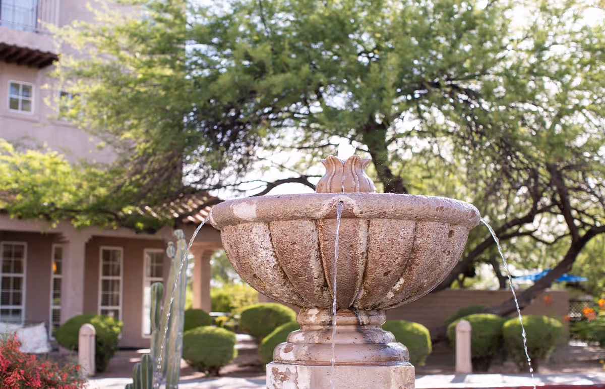 Photo 21 of The Fountains at La Cholla
