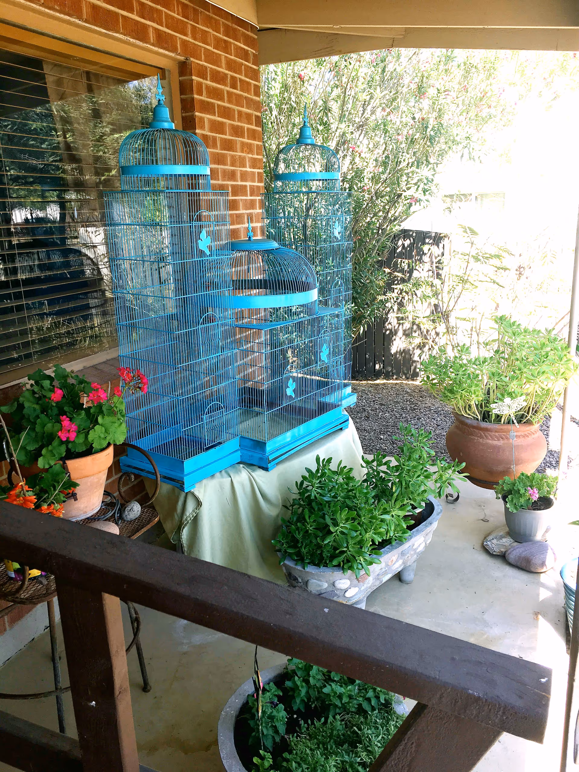 Photo 7 of KOZZY KARE ASSISTED LIVING LLC