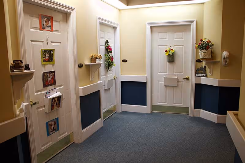 Photo 8 of Magnolia Manor