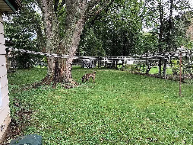Photo of Drake House of Marshfield LLC