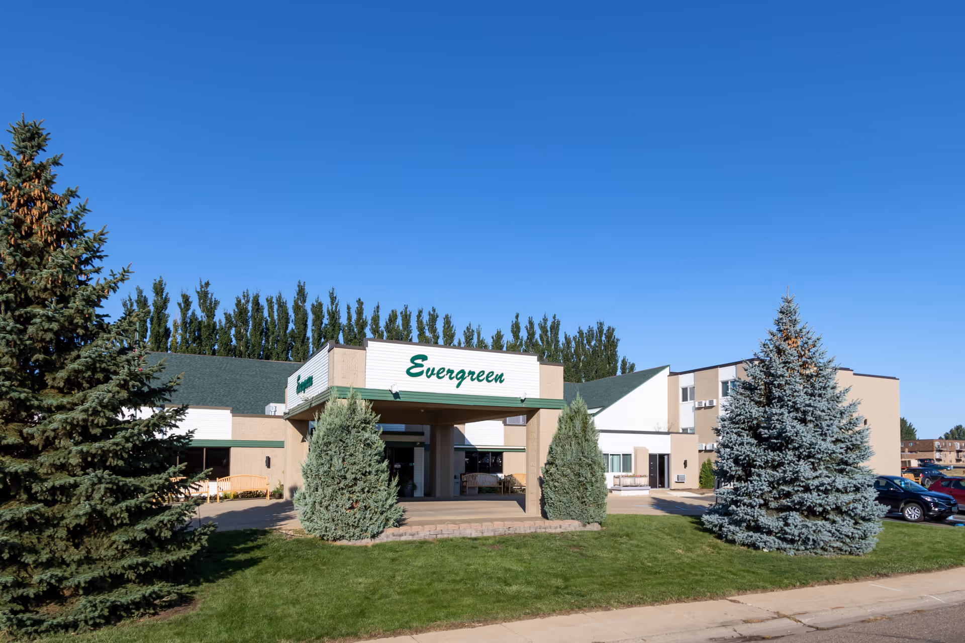 Photo of Evergreen