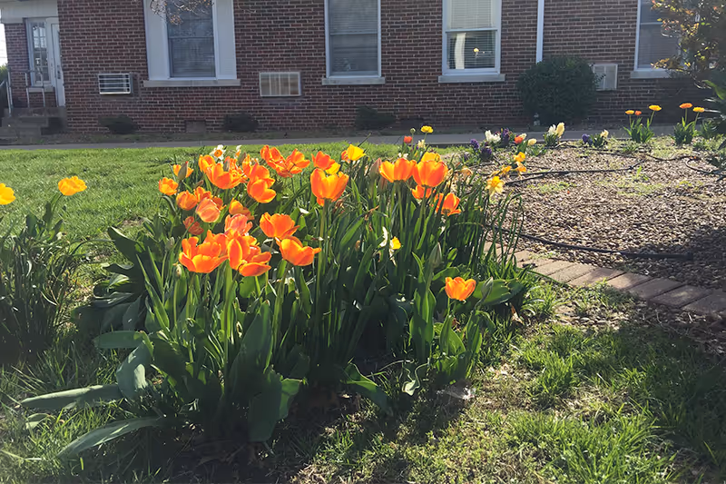 Photo 6 of Evansville Protestant Home