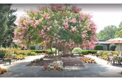 Photo 13 of Laurels of University Park