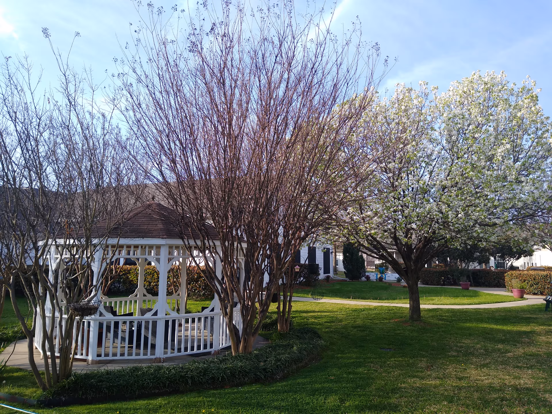 Photo 4 of Silver Creek Assisted Living
