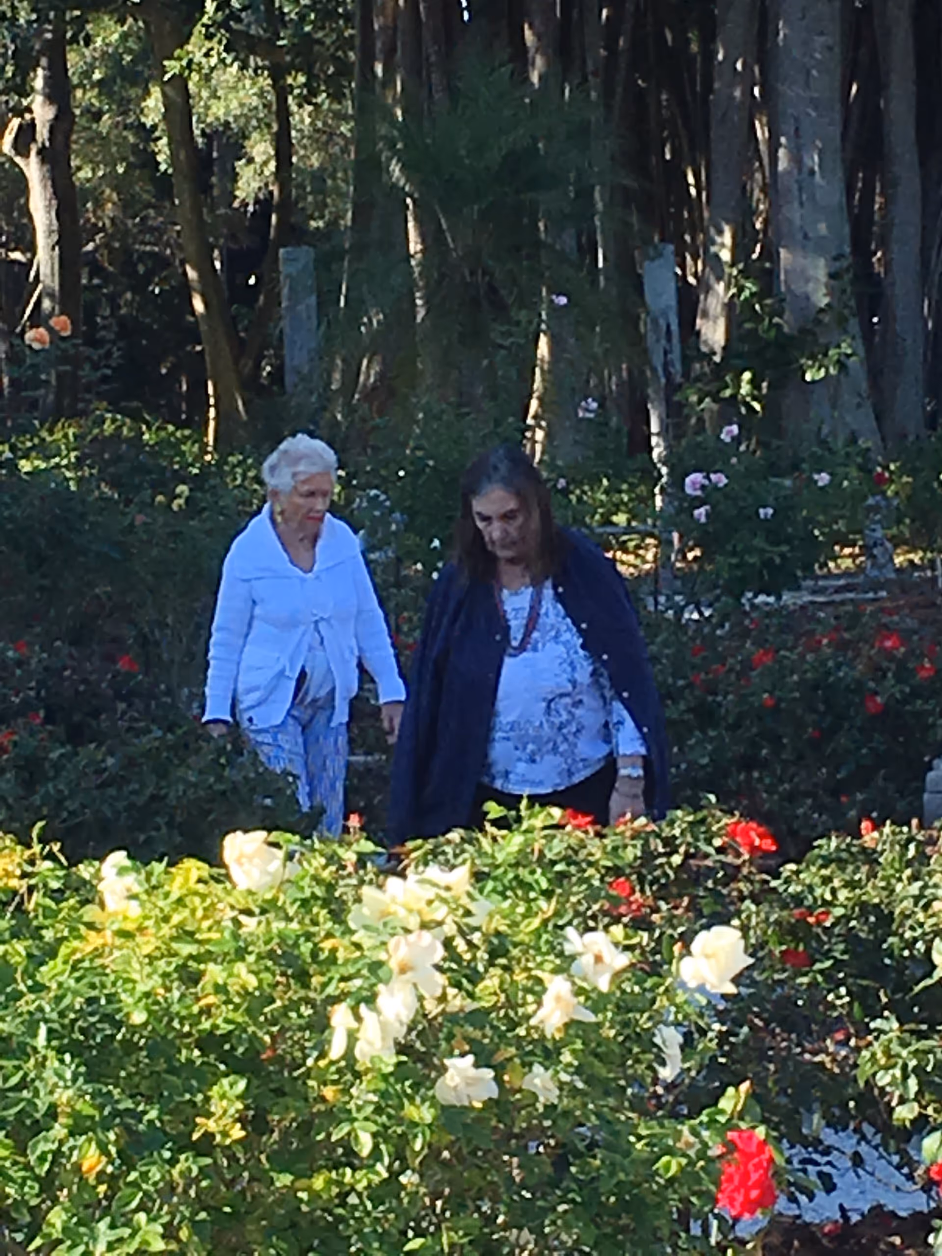 Photo 11 of Family Extended Care of Sarasota
