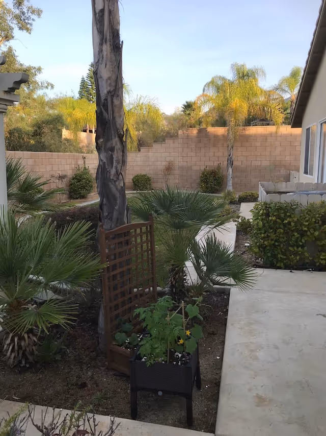 Photo 25 of Sarahs Great Life - Wildomar, California